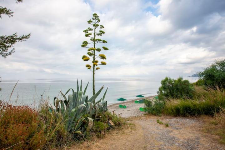 Mola Kaliva Sea View, 100M From The Beach! Exterior foto